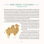 A Year of Bible Stories — Barbour Publishing, Inc. Books and Devotionals