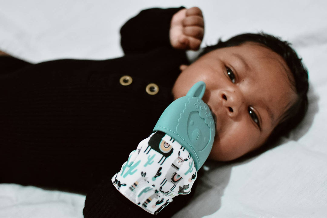 Itzy Mitt™ Silicone Teething Mitts: Dinosaur - Premium teethers from Itzy Ritzy - Just $9.95! Shop now at Pat's Monograms