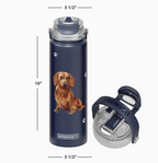 Dachshund Red Stainless Steel Water Bottle 24 Oz. SERENGETI — E&S Pets