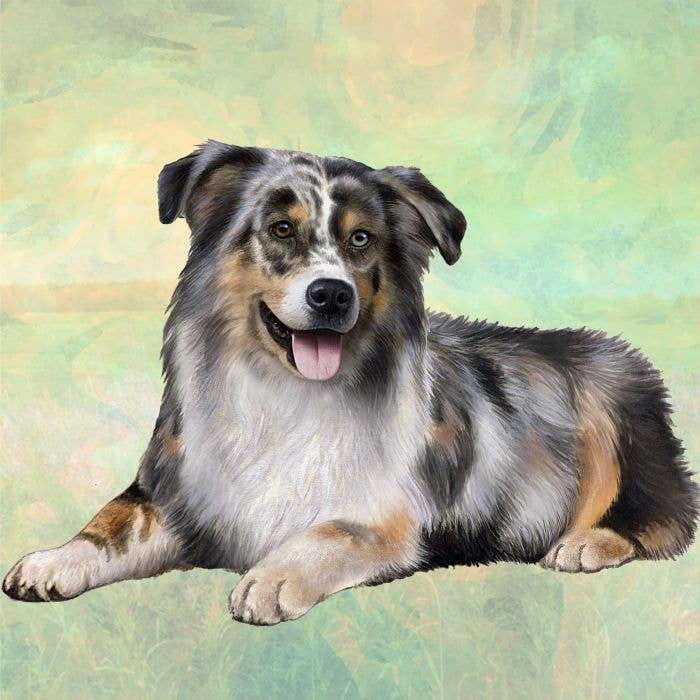 Australian Shepherd Square Coaster — E&S Pets coasters