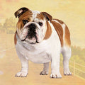Bulldog Square Coaster — E&S Pets coasters