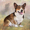 Welsh Corgi Square Coaster — E&S Pets