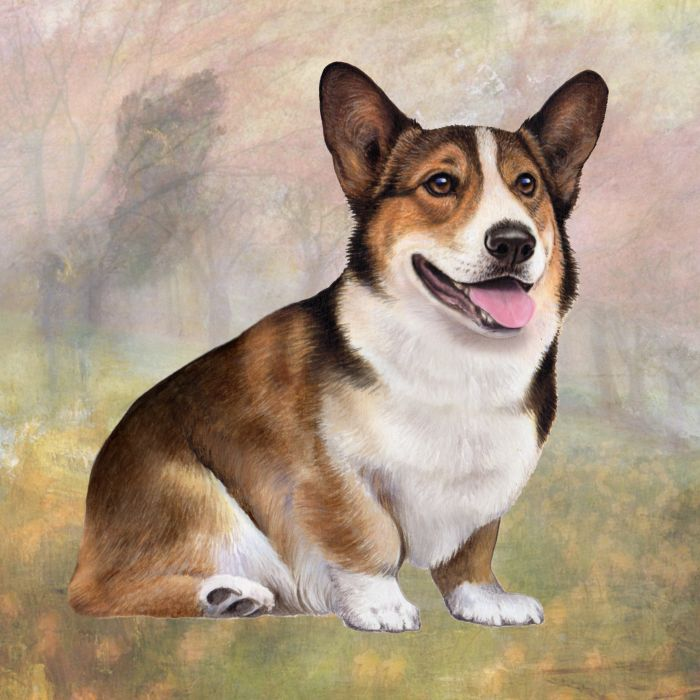 Welsh Corgi Square Coaster — E&S Pets