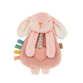 Itzy Lovey™ Bunny Plush with Silicone Teether Toy — Itzy Ritzy Baby Gift