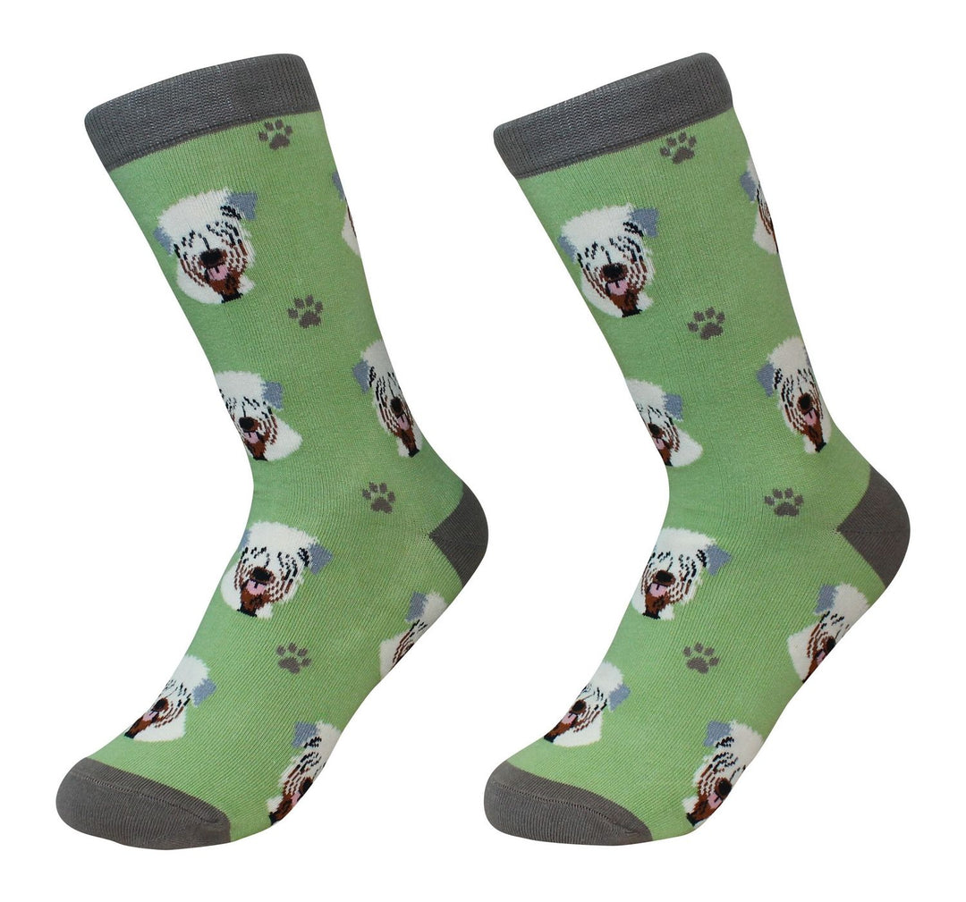 Soft Coated Wheaten Terrier Socks - Premium Socks from Sock Daddy - Just $10.95! Shop now at Pat's Monograms