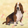Basset Hound Square Coaster — E&S Pets